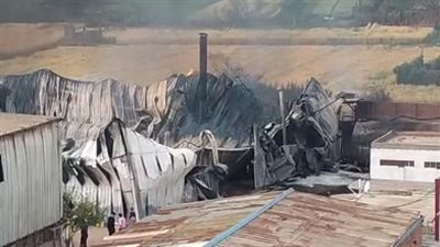 دون إصابات.. السيطرة على حريق مصنع زيوت في قويسنا بالمنوفية | بث مباشر