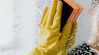دراسة حديثة: المواد الكيميائية المنزلية خطرا على صحة الدماغ