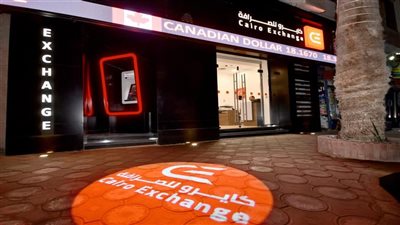 حصيلة التنازلات عن العملات بشركة كايرو للصرافة ترتفع إلى 314 مليون جنيه
