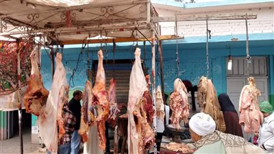 تموين المنيا يضبط 110 مخالفات متنوعة خلال حملات على المخابز البلدية والأسواق