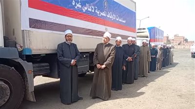 من إجمالي 390 طن مساعدات.. الأوقاف ترسل 1.5 طن لحوم لأهالي غزة