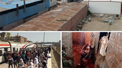 قويسنا عايزة تتبخر.. تصادم قطار وحريق مصنع زيوت وذبح خيول 