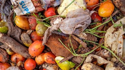 يضم محافظات مصرية.. تقرير جديد صادر عن الأمم المتحدة يرصد الطعام المهدر في العالم