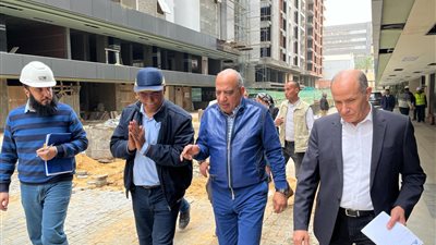 وزير قطاع الأعمال: خطط توسعية بمجال الاستثمار العقاري والعمل كمطورين لصالح الغير