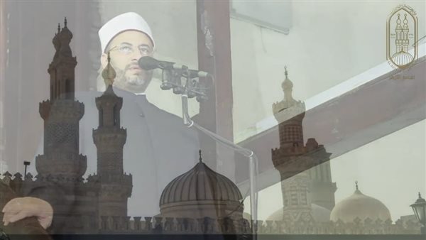 الدكتور محمود الهواري