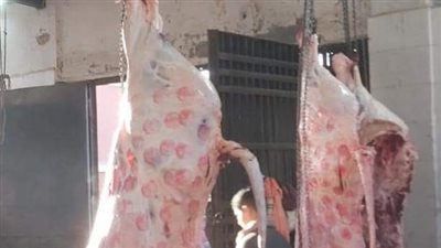 بيطري المنيا: ضبط 51 محضرا وطن لحوم غير صالحة للاستخدام الآدمي