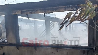 السيطرة على حريق مزرعة دواجن في الغربية