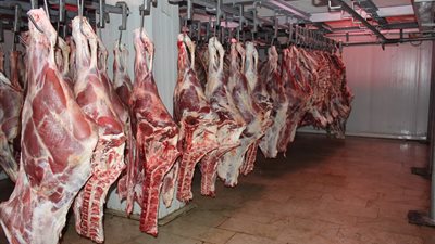 قبل عيد الفطر.. تراجع أسعار اللحوم في الأسواق والضأن ينخفض 50 جنيها