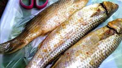 بنسبة 30%.. انخفاض أسعار الرنجة قبل العيد