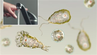 يسبب الوفاة خلال أسبوع.. مخاوف في بريطانيا بسبب انتشار طفيليات آكلة للدماغ