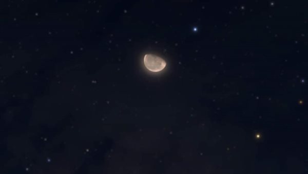 ظاهرة جديدة