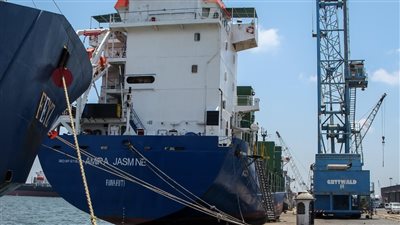 ميناء دمياط يشارك في الاحتفال بساعة الأرض