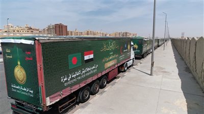 بيت الزكاة: تسيير 325 شاحنة منذ انطلاق حملة الإمام الأكبر أغيثوا غزة