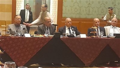 وزير قطاع الأعمال: السيسي كلف بإنشاء مصنع ألومنيوم جديد.. ومصر للألومنيوم حققت 5 مليارت جنيه أرباحا