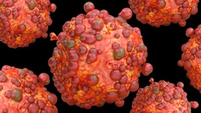 بعد 24 ساعة من الحالة الأولى.. إعلان ثاني إصابة بمرض الجدري في جنوب إفريقيا