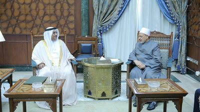 شيخ الأزهر: تعاملنا كعالم عربي مع القضية الفلسطينيَّة لم يعكس ما نملكه من قوى وثروات ودبلوماسية