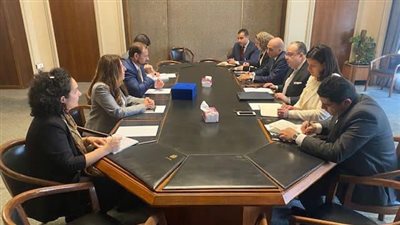 مشاورات مصرية - أمريكية بشأن السودان