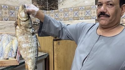 كلب البحر والرنجة والفيلية أشهرها.. أسماك الملوحة المفضلة لأهالي الأقصر أول أيام العيد