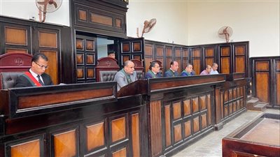 أنهى حياة شخص بسبب الميراث.. السجن المشدد 15 عاما لـ عامل بأسيوط