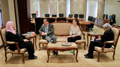 مصر وبريطانيا تبحثان سبل إيصال مزيد من المساعدات الإغاثية العاجلة إلى غزة