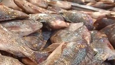 صاحب فكرة مقاطعة الأسماك يكشف موعد نهايتها وما حققته: الكيلو نزل من 200 لـ 70 جنيها