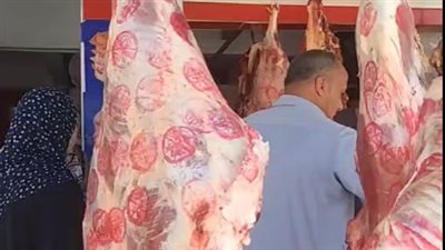 البانيه بـ210 جنيهات والفراخ بـ97.. إقبال كبير على شراء الدواجن واللحوم تزامنًا مع وقفة العيد | بث مباشر