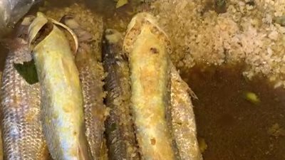 الكيلو بـ 280 جنيهًا.. زحام كبير على شراء الفسيخ في بورسعيد قبل العيد | بث مباشر