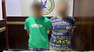 بضاعة العيد.. القبض على 7 تجار مخدرات خلال حملة أمنية بالقاهرة 