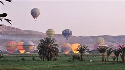 في ثاني أيام العيد.. 1200سائح على متن 50 رحلة بالون طائر بسماء الأقصر