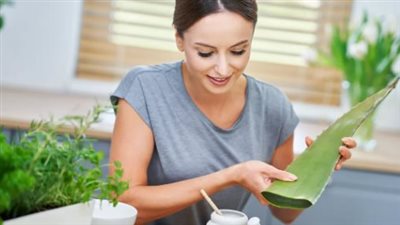 هترجعي شباب| ماسك الصبار للوجه للتفتيح.. طريقة استخدامه بـ 6 وصفات مختلفة