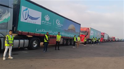 متحدث الرئاسة: تحملنا مشاق وعراقيل لا حصر لها لإدخال المساعدات إلى غزة