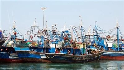 ارتفاع كبير لأسعار الأسماك خلال أيام.. نقيب الصيادين يحذر من منع طرق الصيد التقليدية