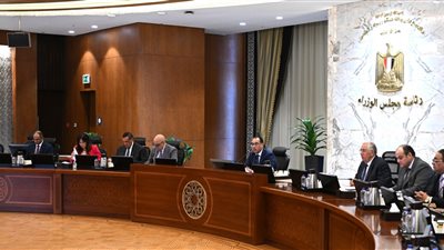 مركز معلومات الوزراء: الإجراءات الاقتصادية وصفقة رأس الحكمة من أسباب تعديل فيتش نظرتها للاقتصاد 