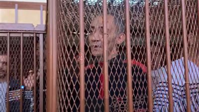 إحالة أوراق المتهم بهتك عرض صغيرتين حملتا منه سفاحا ببورسعيد للمفتي