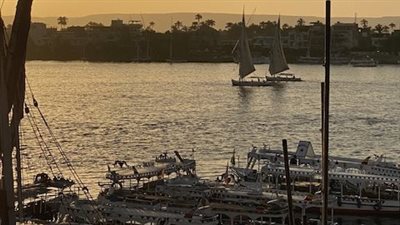 الحبس لمراكبي تحرش بـ 4 سائحات بغرب مدينة الأقصر