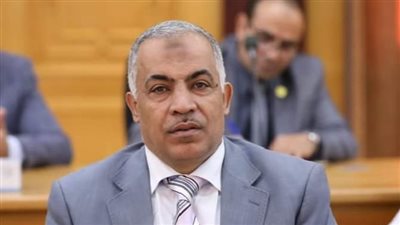 رمضان الصاوي نائبًا لرئيس جامعة الأزهر للوجه البحري