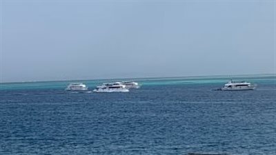 القبض على سائق لنش في شرم الشيخ | بث مباشر