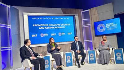 وزيرة التخطيط: المساواة بين الرجل والمرأة لا تتعدى الـ 15.4% 