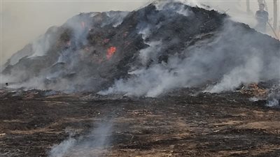 دون خسائر بشرية.. إخماد حريق في معصرة قصب بملوي