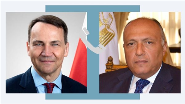 وزير الخارجية يتلقى