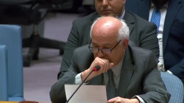 مندوب فلسطين بمجلس