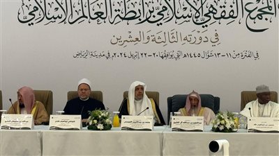 المفتي: الواقع يُملي علينا تضافر جهود العلماء للوصول إلى أحكام في القضايا المعاصرة