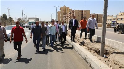 محافظ المنوفية: رصف مدخل المنطقة الصناعية بقويسنا دعما للمستثمرين 