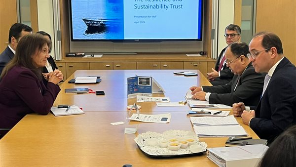 وزير المالية