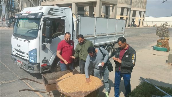 توريد محصول القمح