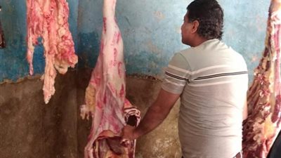 الزراعة: ضبط 40 طن لحوم ودواجن وأسماك غير صالحة للاستهلاك الآدمي خلال يونيو