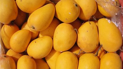 تعرف على أسعار المانجو في سوق العبور