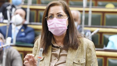 “التخطيط” تواصل جولاتها لاستعراض بوابة خدمات المحليات بمحافظتي أسوان وكفر الشيخ