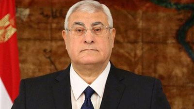 حجب الصفحات المزيفة للمستشار عدلي منصور (تفاصيل)