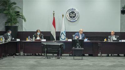 الهيئة الاقتصادية لقناة السويس تعلن استقبال الدفعة الثانية من معدات كوبري الفردان